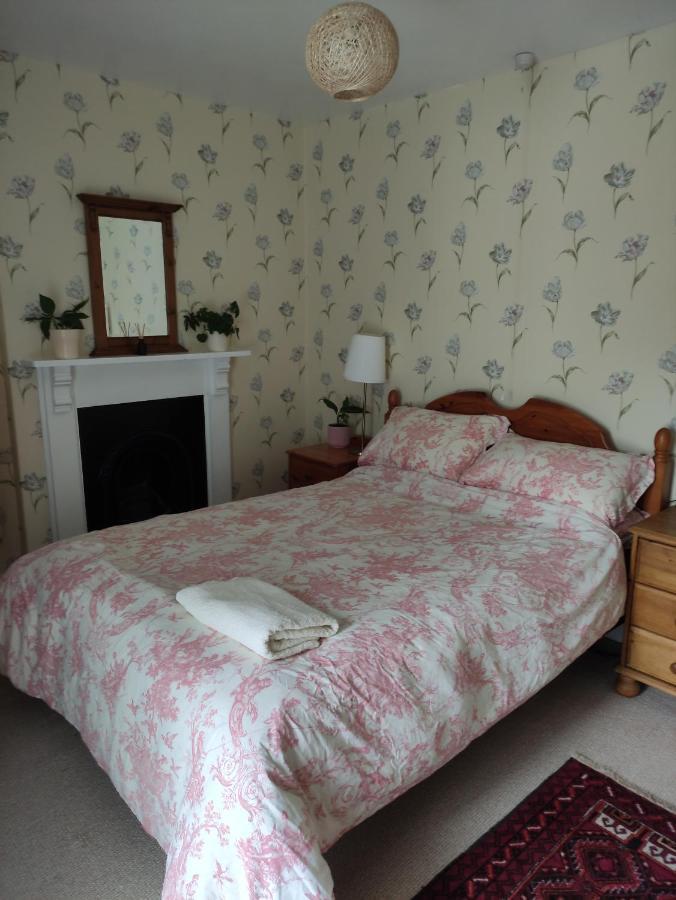 Adail Cottage Aberystwyth Eksteriør billede