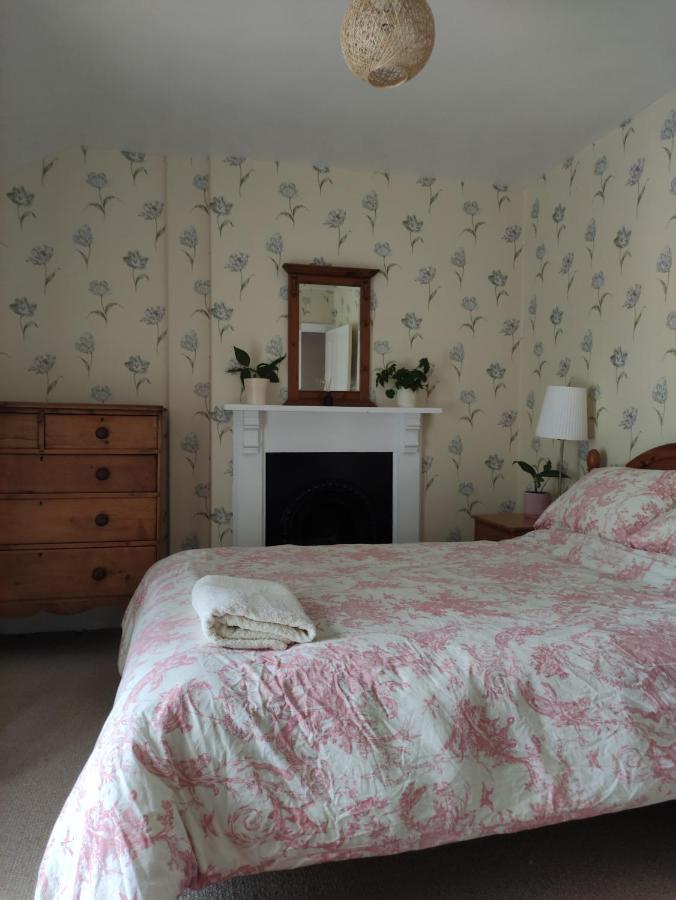 Adail Cottage Aberystwyth Eksteriør billede