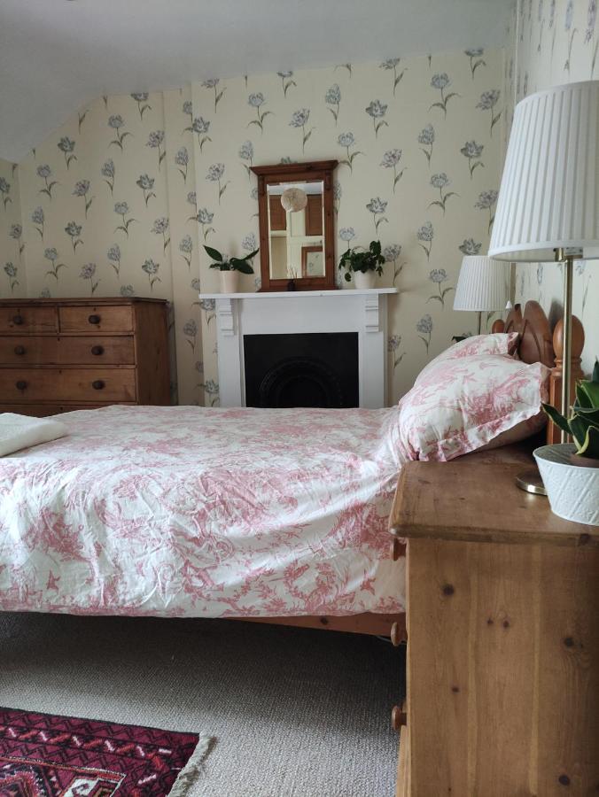 Adail Cottage Aberystwyth Eksteriør billede